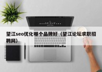 望江seo優(yōu)化哪個(gè)品牌好（望江論壇求職招聘網(wǎng)）