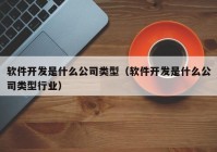 軟件開(kāi)發(fā)是什么公司類(lèi)型（軟件開(kāi)發(fā)是什么公司類(lèi)型行業(yè)）