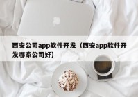 西安公司app軟件開(kāi)發(fā)（西安app軟件開(kāi)發(fā)哪家公司好）