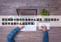 現在微信小程序開(kāi)發(fā)用什么語(yǔ)言（現在微信小程序開(kāi)發(fā)用什么語(yǔ)言開(kāi)發(fā)）