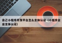 自己小程序開(kāi)發(fā)平臺怎么主體認證（小程序企業(yè)主體認證）