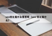 seo優(yōu)化是什么意思呢（seo 優(yōu)化是什么）