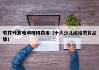 軟件開(kāi)發(fā)培訓機構費用（十大少兒編程教育品牌）