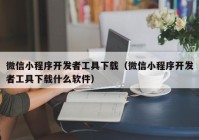 微信小程序開發(fā)者工具下載（微信小程序開發(fā)者工具下載什么軟件）