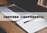 小程序開(kāi)發(fā)基礎（小程序開(kāi)發(fā)基礎是什么）