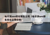 哈爾濱seo優(yōu)化排名公司（哈爾濱seo排名優(yōu)化公司價(jià)格）