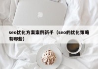 seo優(yōu)化方案案例新手（seo的優(yōu)化策略有哪些）