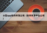 小型app軟件開(kāi)發(fā)公司（軟件開(kāi)發(fā)平臺公司）