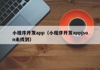 小程序開(kāi)發(fā)app（小程序開(kāi)發(fā)appjson未找到）