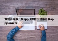 微信小程序開(kāi)發(fā)app（微信小程序開(kāi)發(fā)appjson審核）