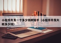 小程序開(kāi)發(fā)一個(gè)多少錢(qián)啊知乎（小程序開(kāi)發(fā)大概多少錢(qián)）