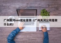 廣州天河seo優(yōu)化首頁(yè)（廣州天河公司是做什么的）