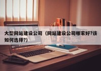 大型網(wǎng)站建設公司（網(wǎng)站建設公司哪家好?該如何選擇?）