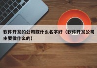 軟件開(kāi)發(fā)的公司取什么名字好（軟件開(kāi)發(fā)公司主要做什么的）