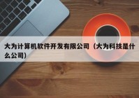 大為計算機軟件開(kāi)發(fā)有限公司（大為科技是什么公司）