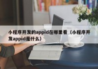 小程序開(kāi)發(fā)的appid在哪里看（小程序開(kāi)發(fā)appid是什么）