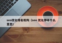 seo優(yōu)化排名機構（seo 優(yōu)化排名什么意思）