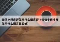 微信小程序開發(fā)用什么語言好（微信小程序開發(fā)用什么語言比較好）