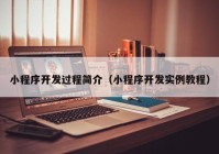 小程序開(kāi)發(fā)過(guò)程簡(jiǎn)介（小程序開(kāi)發(fā)實(shí)例教程）