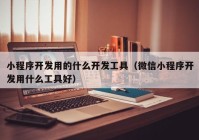小程序開(kāi)發(fā)用的什么開(kāi)發(fā)工具（微信小程序開(kāi)發(fā)用什么工具好）