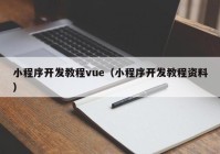 小程序開發(fā)教程vue（小程序開發(fā)教程資料）